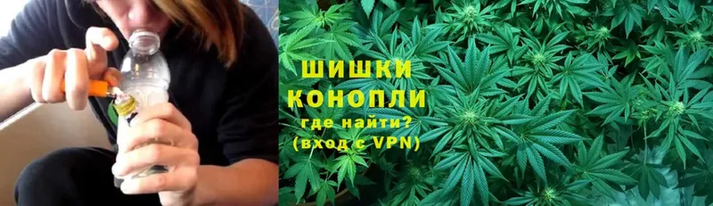 Каннабис Ganja  Вязьма 